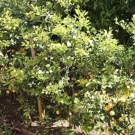 Marianna Quiet 3* Monterosso al Mare