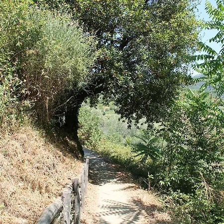 Πανσιόν Marianna Quiet